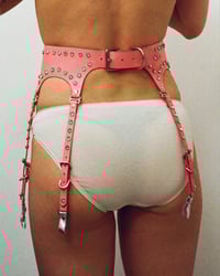 Image 4 of ZIZI SUSPENDER BELT
