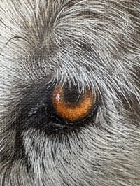 Image 2 of Intuition.
