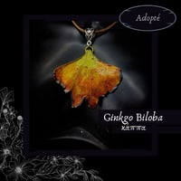 Image 10 of ☽ Ginkgo Biloba ☾