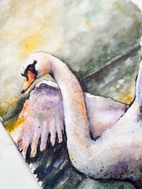 Image 4 of SWAN, Original Watercolor Painting