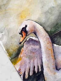 Image 5 of SWAN, Original Watercolor Painting