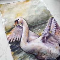 Image 3 of SWAN, Original Watercolor Painting
