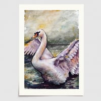 Image 1 of Swan, Eco Bamboo Fine Art Print