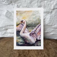 Image 2 of Swan, Eco Bamboo Fine Art Print