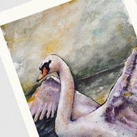 Image 3 of Swan, Eco Bamboo Fine Art Print