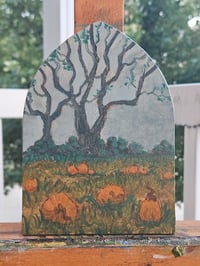 Pumpkin patch