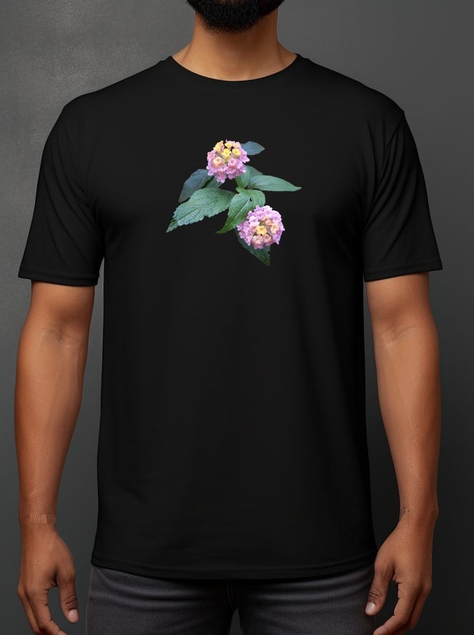 Lantana Camara