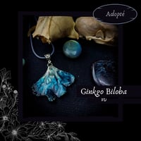 Image 13 of ☽ Ginkgo Biloba ☾
