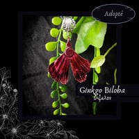Image 19 of ☽ Ginkgo Biloba ☾