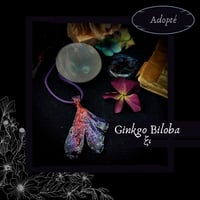 Image 14 of ☽ Ginkgo Biloba ☾