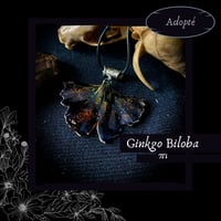 Image 16 of ☽ Ginkgo Biloba ☾
