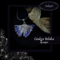 Image 15 of ☽ Ginkgo Biloba ☾