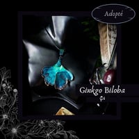 Image 20 of ☽ Ginkgo Biloba ☾