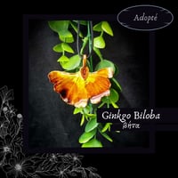 Image 2 of ☽ Ginkgo Biloba ☾