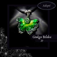 Image 21 of ☽ Ginkgo Biloba ☾