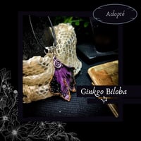 Image 22 of ☽ Ginkgo Biloba ☾