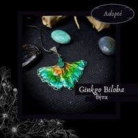 Image 8 of ☽ Ginkgo Biloba ☾