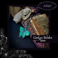 Image 9 of ☽ Ginkgo Biloba ☾