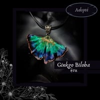 Image 7 of ☽ Ginkgo Biloba ☾