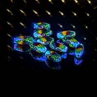 Image 2 of ⭐️LIMITED ⭐️ Azteca Fire fade to Luna UV  [[SINGLES]]