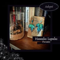 Image 1 of ☽ Humulus Pavonis ☾