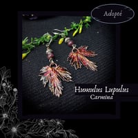 Image 1 of ☽ Humulus Carmina ☾