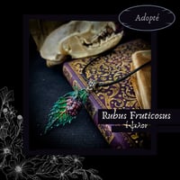 Image 6 of ☽ Rubus Fruticosus ☾