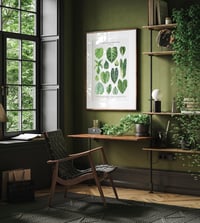Image 8 of Philodendron Species Poster