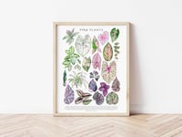 Image 3 of Pink Plants Poster