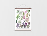 Image 4 of Pink Plants Poster