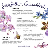 Image 7 of Pink Plants Poster