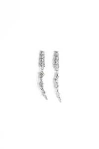 OMALOPSINI_Crocodile Jaws
