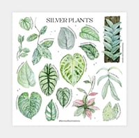 Image 2 of Silver Plants Poster