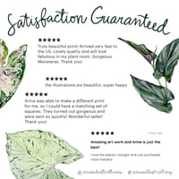 Image 6 of Marantaceae Species Poster