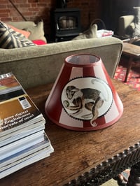 Image 5 of Darwin Monkey Lamp Shades