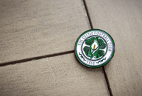 Image 2 of Celtic Palestine pin badge.