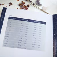 Image 4 of The Enchanted Moon by Stacey DeMarco