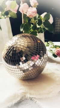 Image 1 of Boule Disco