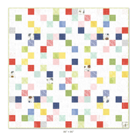 BIRD SEED Quilt Kit 72" x 81" by Carrie-Along-Quilts featuring HAPPY AT HOME