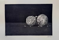 Image 1 of INSIEME