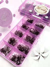 Image of Dark brown 10D 0.7 mixed length box D curl 