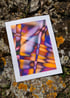 Macule - Risographie Image 2