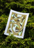Solstice - Risographie Image 2