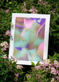 Image 2 of Effluve - Risographie