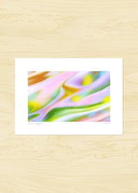 Image 1 of Allogamie - Risographie