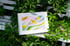 Allogamie - Risographie Image 2