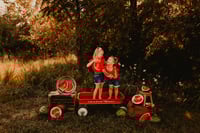 Image 3 of MELON MINI 🍉 7/11