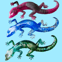 Image 1 of Lizzard 