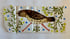 Thrush with Buttercups Image 2