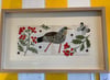 Fieldfare and Red Rebel